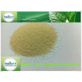 Sell enzyme lipase powder